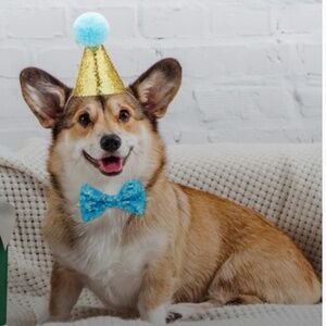 Dog Cat Pet Birthday Costume Hat & Bowtie Set